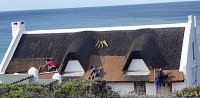 Thatched roof maintenance